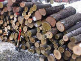 Little Ripper Mini Sawmill log pile